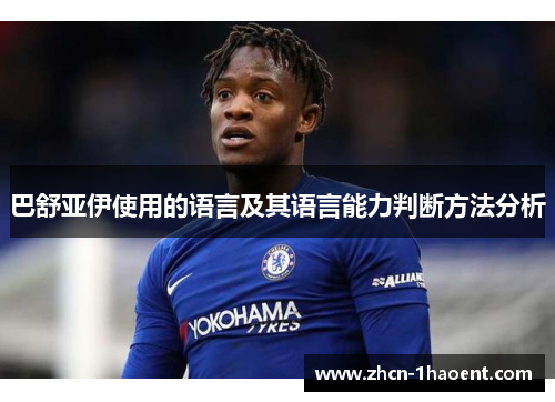 巴舒亚伊使用的语言及其语言能力判断方法分析