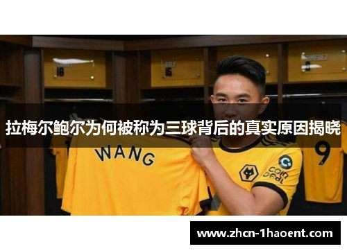 拉梅尔鲍尔为何被称为三球背后的真实原因揭晓